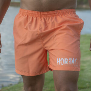 Horing Oranje Swembroek